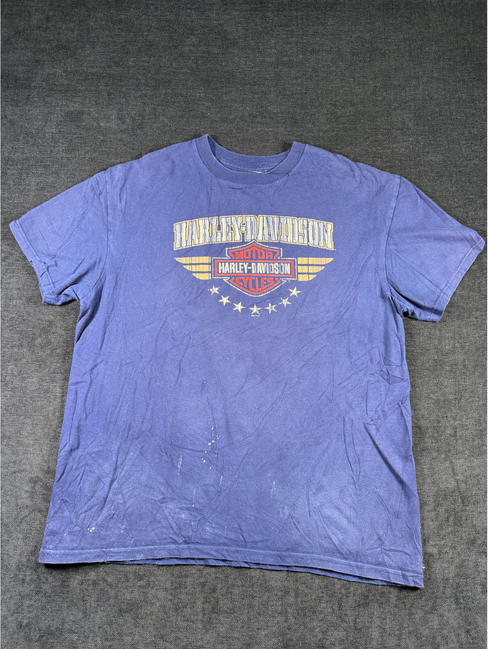Harley-Davidson Vintage Logo Graphic T-Shirt